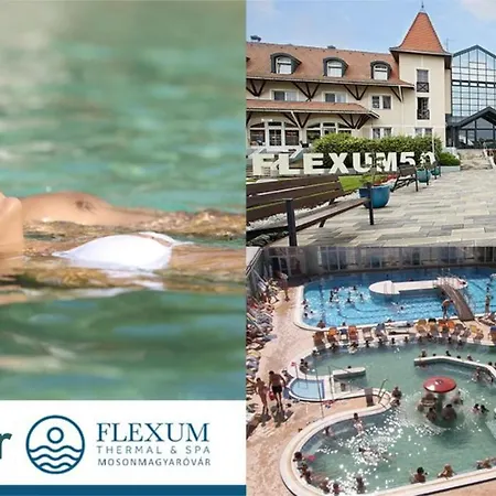 Fészek - Nest Panzió Mosonmagyaróvár